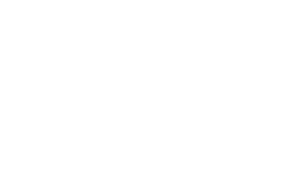 Generic TL White Logo 1