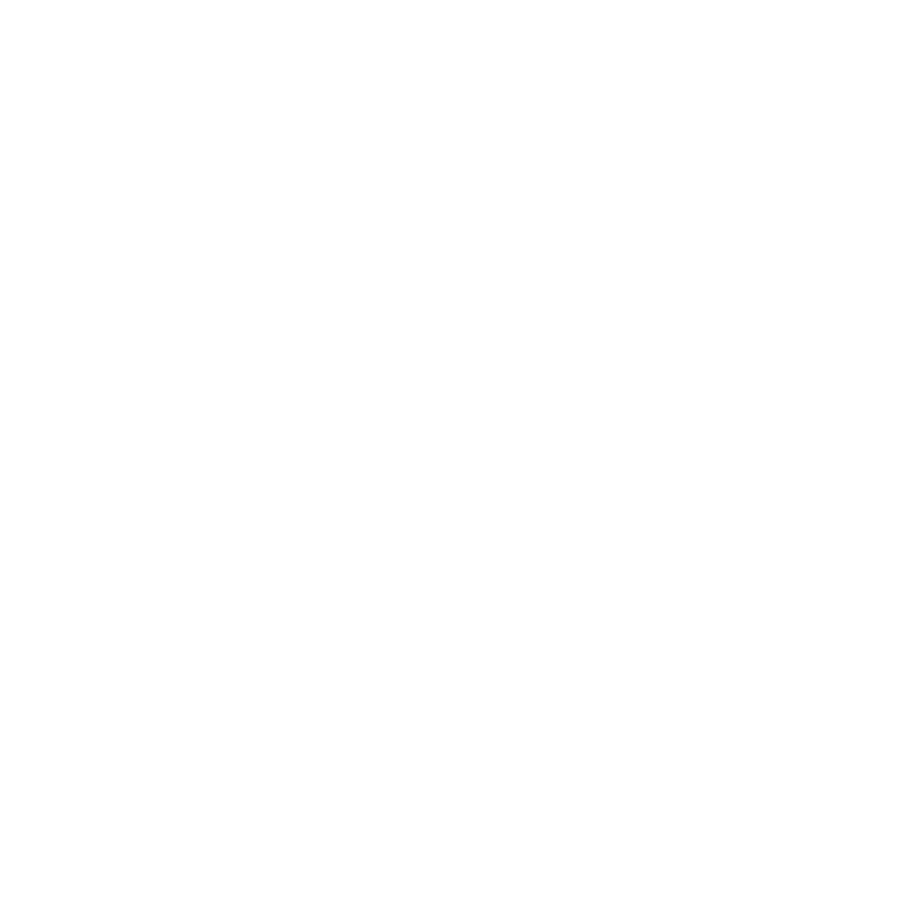 TL white logo